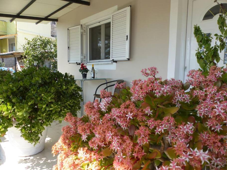 Kanálion Michaels Flower House מראה חיצוני תמונה